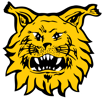 ilves-official-logo(1)